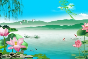 山美水美荷花美