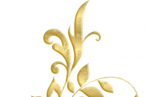 金色植物花纹