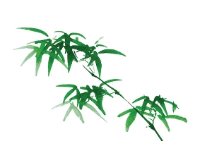 竹子 一只竹子 png素材