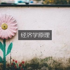 经济学原理，提升个人能力的必备书籍