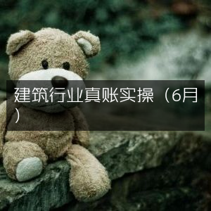 建筑行业6月真账实操培训