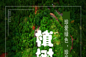 植树节 海报