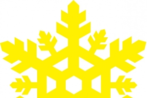 雪花图案