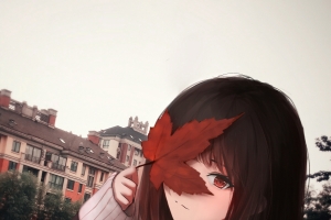 动漫美女,枫叶,2k手机壁纸