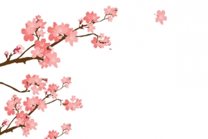 春季粉色樱花主题装饰边框