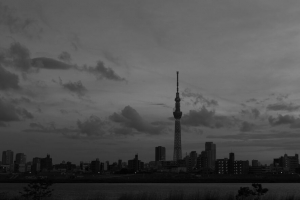 城市 建筑 黑白 塔 建筑 河流 全景 4k壁纸 3840x2160