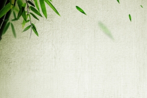 唯美竹子背景