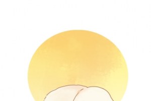 手绘兔子元素图