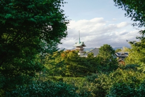 宝塔 寺庙 建筑 树木 自然 风景 4k壁纸 3840x2160