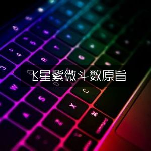 飞星紫微斗数原旨，古典文集精华