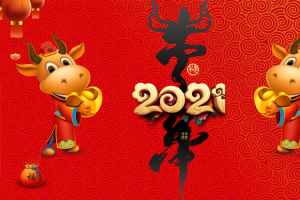 2021 牛气冲天