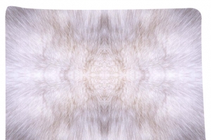 现代化免扣扁平化居家式毛地毯