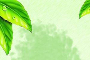 绿色树叶水墨背景
