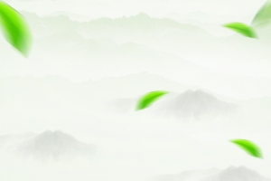 绿色茶园海报背景