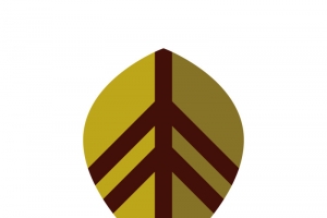绿色树叶