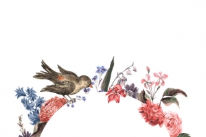 小鸟花环素材