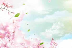 醉美春天桃花节海报背景模板