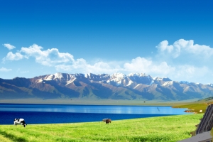 魅力西藏旅游指南宣传海报背景素材