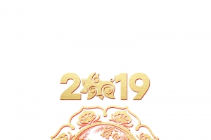 2019年猪年素材