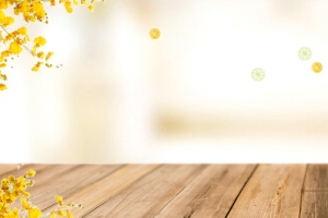 秋季新鲜桔子柠檬上市清新黄色banner
