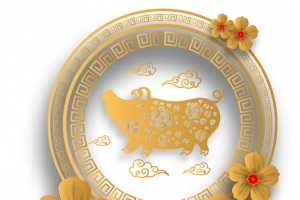 猪年金色边框装饰图案