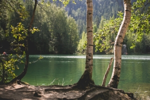 捷克共和国 湖畔 自然风景4K壁纸