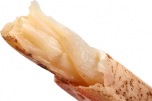 大闸蟹蟹腿肉高清PNG透明装饰素材免费下载