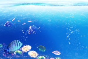 唯美海底世界背景
