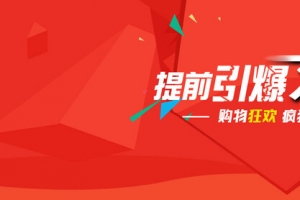 双11