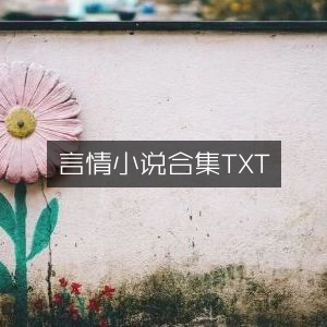 言情小说精选合集TXT下载 | 文学艺术书籍汇总