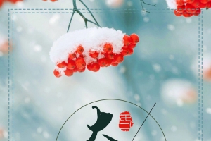 二十四节气 大雪 节气海报