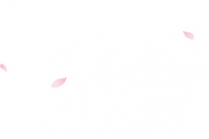 粉色花瓣