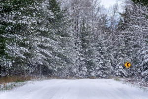 森林 雪 道路 路标 冬季 4k壁纸 3840x2160
