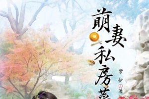 萌妻私房菜小说封面