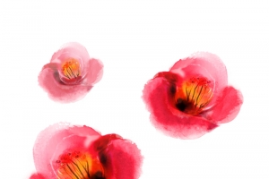 木棉花彩绘免抠素材