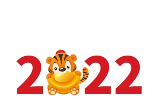 2022数字创意老虎图形高清PNG透明图片 节日素材免费下载