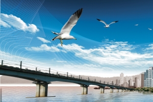 公司企业房地产背景