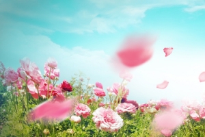 小清新花朵背景
