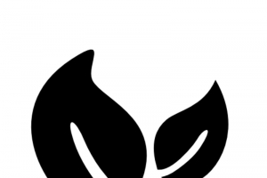 树叶图标高清PNG透明免扣设计素材免费下载