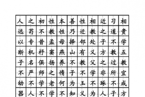 弟子规钢笔楷书字帖高清矢量图案