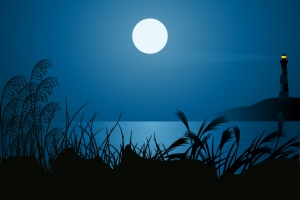 欧式精美夜晚明月风景画册矢量背景素材