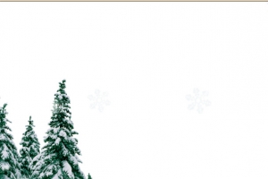 雪地里的圣诞树