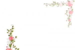 粉色玫瑰花花框