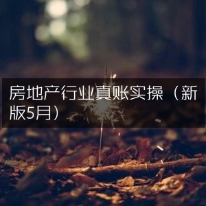 房地产行业实战真账操作指南（5月新版）