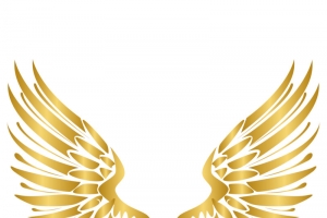 矢量金色翅膀手绘卡通元素高清PNG透明图片设计素材免费下载