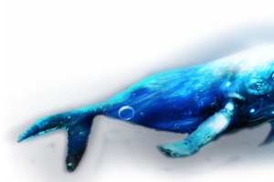 深海的鲸鱼