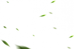 飘飞树叶效果
