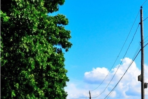 简约风景H5图