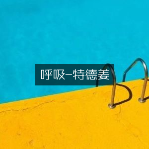 呼吸，特德·姜作品，文学艺术书籍精选