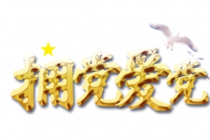 拥党爱党图片